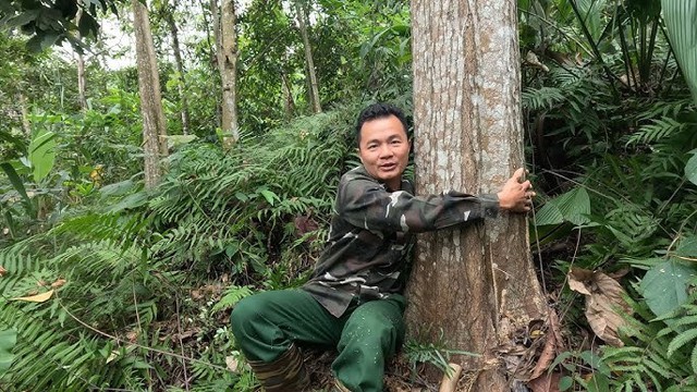 Loại gỗ quý hiếm bậc nhất Việt Nam: Từng được định giá 500 triệu đồng/m³, hiện rất khó gặp trong tự nhiên - Ảnh 3.