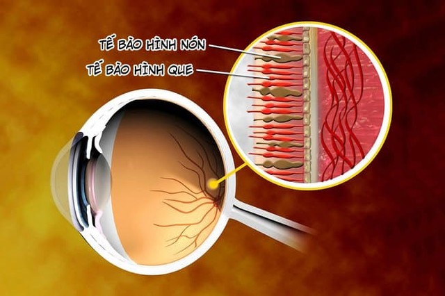 Cứ đêm xuống, người ta lại bật đèn đỏ trong tàu ngầm - lý do? - Ảnh 2.