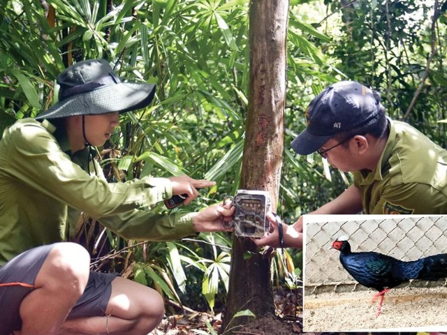 Loài động vật quý hiếm chỉ Việt Nam có, giới khoa học khẩn cấp bảo tồn: Số lượng chưa đến 50 con - Ảnh 4.