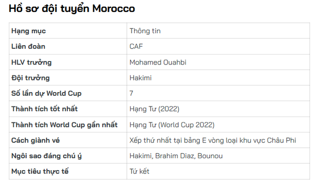 Đường đến World Cup 2026 của Morocco: Tiếng gầm của 'sư tử Atlas' - Ảnh 2.