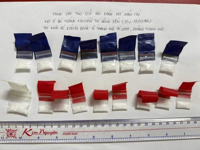 Ra lệnh khám xét khẩn cấp nơi ở, bắt giữ Nguyễn Thị Hồng Yến - Ảnh 3.