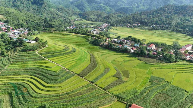 Một "Sa Pa" ẩn mình cách Hà Nội hơn 240km: Mây phủ, khí hậu mát mẻ, cảnh đẹp còn hoang sơ - Ảnh 1.
