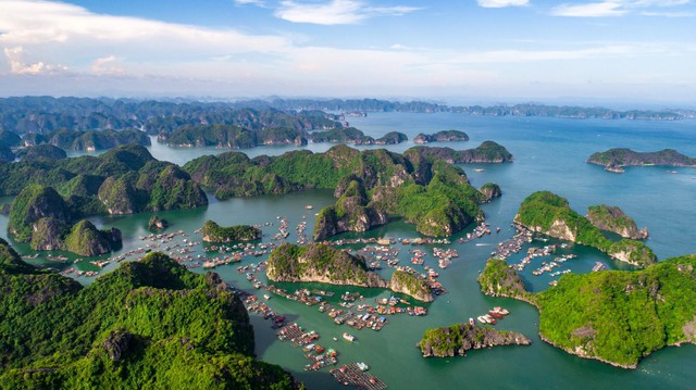 Cảnh tượng ở vịnh Lan Hạ, Cát Bà khiến nhiều người bất ngờ, thốt lên: Không tin vào mắt mình - Ảnh 2.