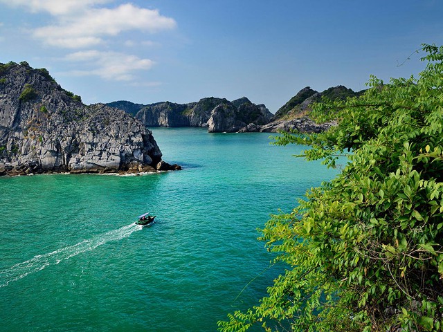 Cảnh tượng ở vịnh Lan Hạ, Cát Bà khiến nhiều người bất ngờ, thốt lên: Không tin vào mắt mình - Ảnh 3.