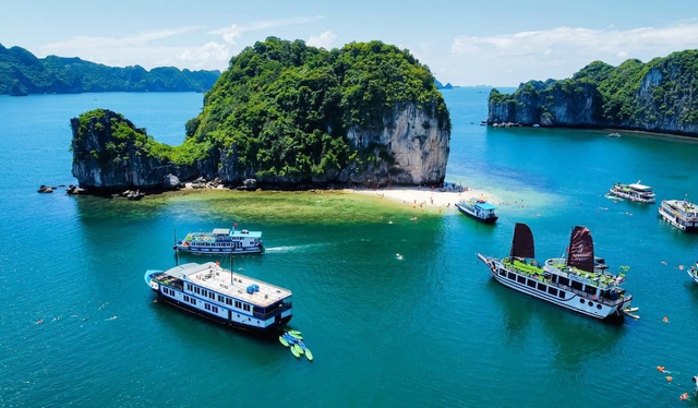 Cảnh tượng ở vịnh Lan Hạ, Cát Bà khiến nhiều người bất ngờ, thốt lên: Không tin vào mắt mình - Ảnh 4.