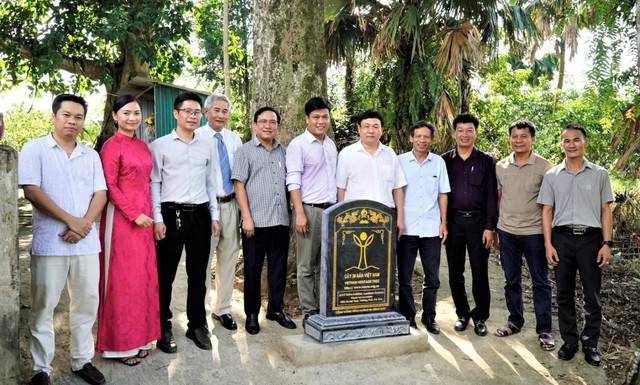Hai cây gỗ quý hơn 200 tuổi ở Việt Nam: Được trả 100 tỷ vẫn không bán, cả làng thay nhau canh giữ - Ảnh 4.