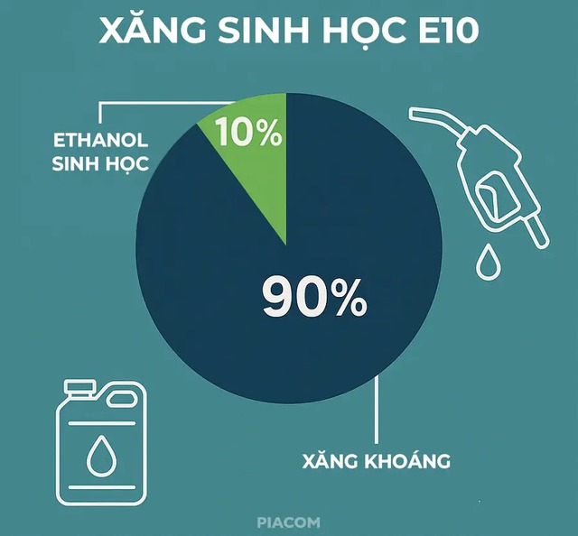 Cứ 1 giờ thì có 1,5 triệu lít xăng E10 được bán ra; hàng triệu chủ xe "yên tâm" sử dụng - Ảnh 1.