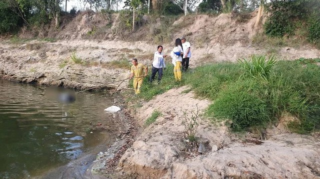 Dẫn trâu đi ăn cỏ, người đàn ông bàng hoàng khi phát hiện