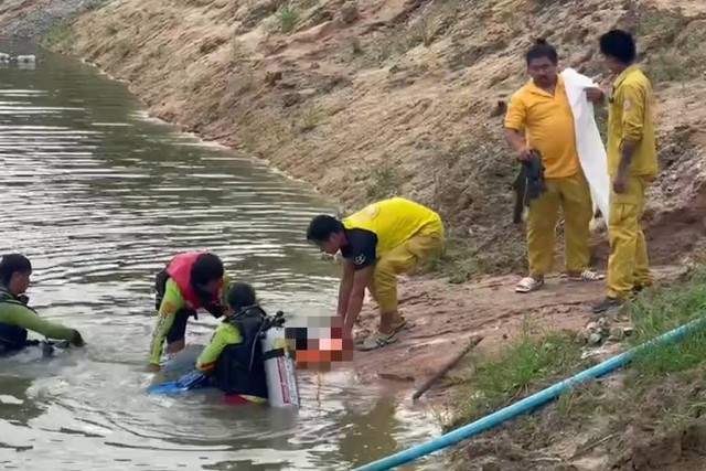 Dẫn trâu đi ăn cỏ, người đàn ông bàng hoàng khi phát hiện