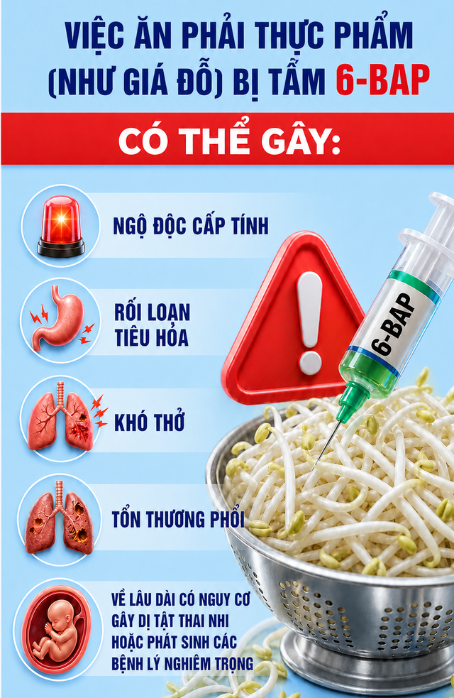 Cảnh sát đồng loạt kiểm tra, bắt tạm giam Lưu Văn Thiệp và 2 chủ cơ sở sản xuất giá đỗ - Ảnh 3.