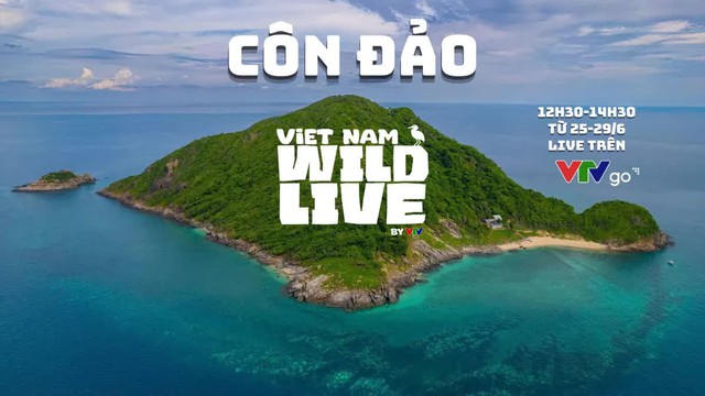 Lần đầu ti&ecirc;n: To&agrave;n bộ người d&acirc;n Việt Nam được trải nghiệm miễn ph&iacute; 1 thứ - Ảnh 1.