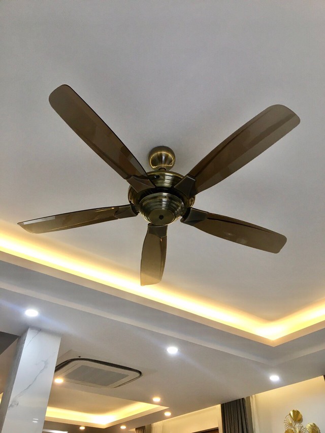 Dùng quạt 3 cánh hay 5 cánh mát hơn? Giật mình biết đáp án - Ảnh 3.
