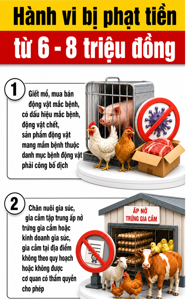 Một hành vi có thể bị phạt tới 8 triệu đồng từ ngày 1/8, người dân cần nắm rõ - Ảnh 1.
