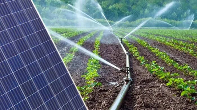 Năng lượng mặt trời tiếp sức cho nông nghiệp Cuba: - Ảnh 2.