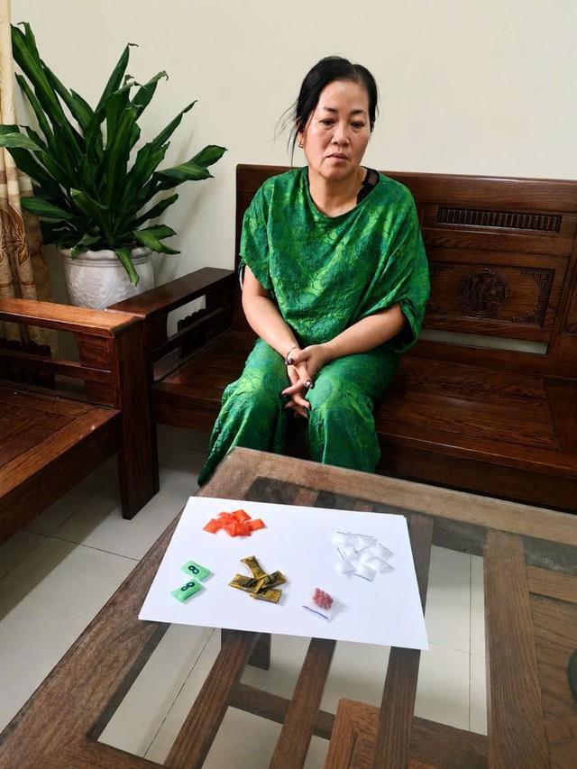 Triệu tập, khởi tố Nguyễn Thị Anh 50 tuổi - Ảnh 2.