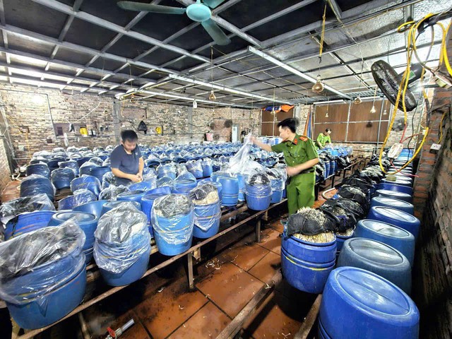 Ra lệnh bắt tạm giam chủ cơ sở sản xuất  Lê Thị Hoan SN 1978 - Ảnh 2.