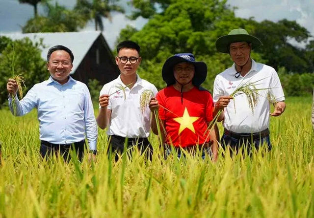 Vượt nửa vòng Trái đất đến Cuba: Kỹ sư Việt bắt tay làm ngay 1 việc, kỳ tích xuất hiện vào tháng 5/2026 - Ảnh 1.