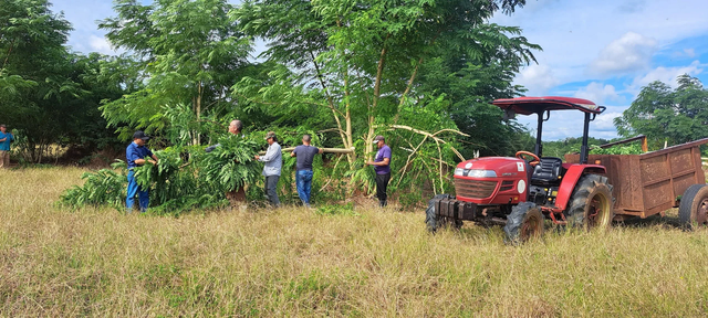 Vượt nửa vòng Trái đất đến Cuba: Kỹ sư Việt bắt tay làm ngay 1 việc, kỳ tích xuất hiện vào tháng 5/2026 - Ảnh 2.