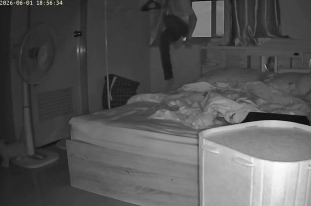 Mèo cưng bỗng run lẩy bẩy khi chủ về phòng, cô gái xem lại camera rồi vội báo cảnh sát ngay trong đêm - Ảnh 3.