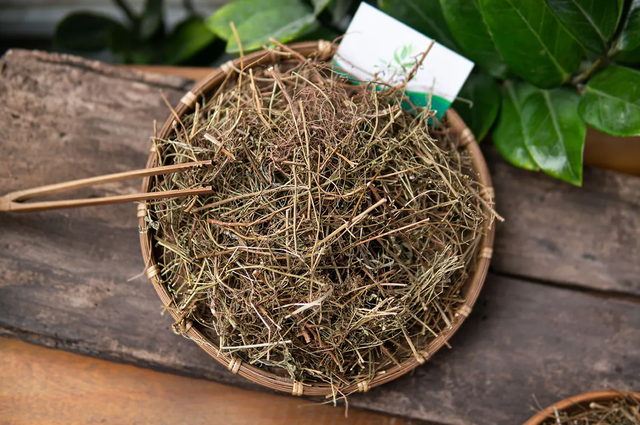 V&igrave; sao gọi l&agrave; c&acirc;y ch&oacute; đẻ? - Ảnh 2.
