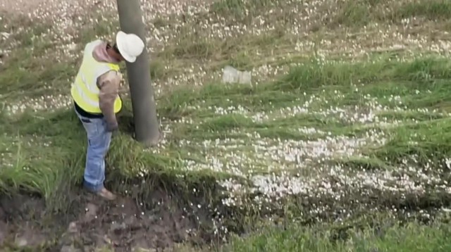 Phát hiện gần 21 tỷ đồng tiền xu phủ kín mặt đường cao tốc - Ảnh 3.