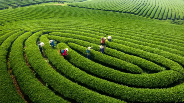 Ai cũng nghĩ là Sa Pa, đây mới là nơi duy nhất 3 lần được vinh danh đẹp nhất thế giới: Cách Hà Nội 180km - Ảnh 1. Ai cũng nghĩ là Sa Pa, đây mới là nơi duy nhất 3 lần được vinh danh đẹp nhất thế giới: Cách Hà Nội 180km - Ảnh 1.