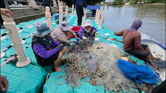 Loài cá khiến hàng loạt ao tôm trống rỗng, láng giềng Việt Nam huy động cả quan chức xuống bắt - Ảnh 3.
