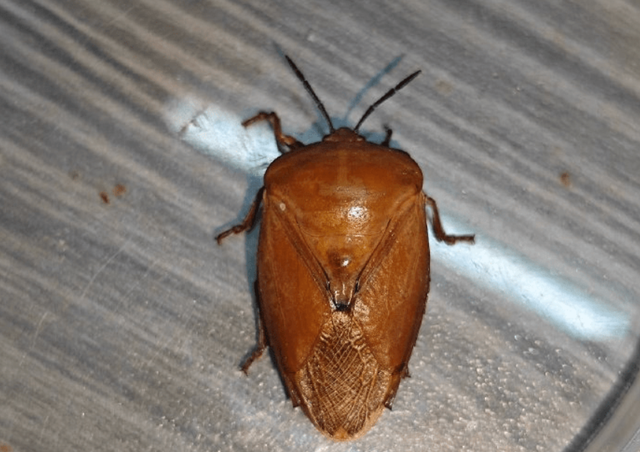 Vừa ngủ dậy thấy