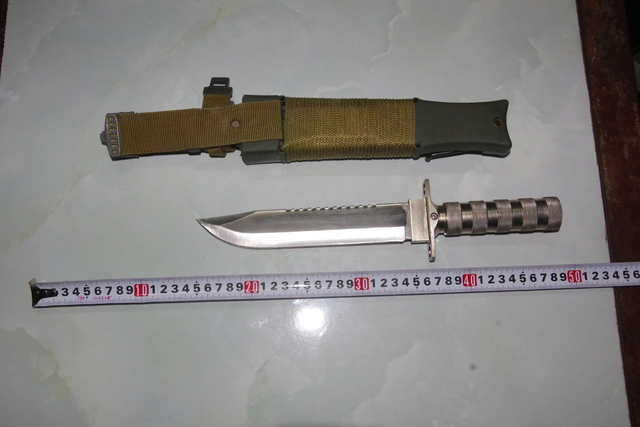 Bắt giữ Lê Thành Phong 65 tuổi - Ảnh 2.
