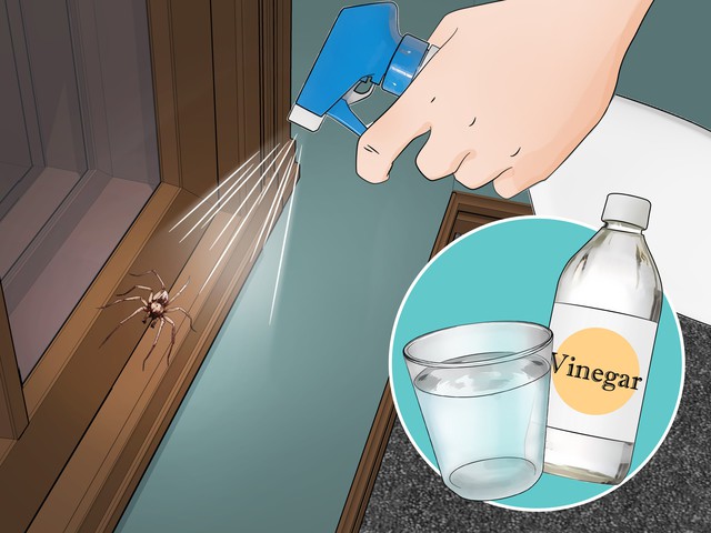 Vì sao nhiều người xịt giấm quanh cửa nhà mỗi tuần? Công dụng không chỉ để làm sạch - Ảnh 2.