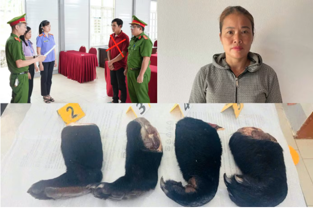 Ra quyết định khởi tố hình sự Lương Thị Huế SN 1982 - Ảnh 1.