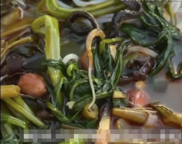 Tưởng l&agrave; mộc nhĩ, người phụ nữ b&agrave;ng ho&agrave;ng khi nh&igrave;n r&otilde; thứ nổi trong b&aacute;t b&uacute;n: Chủ qu&aacute;n xử l&yacute; g&acirc;y tranh c&atilde;i - Ảnh 1.