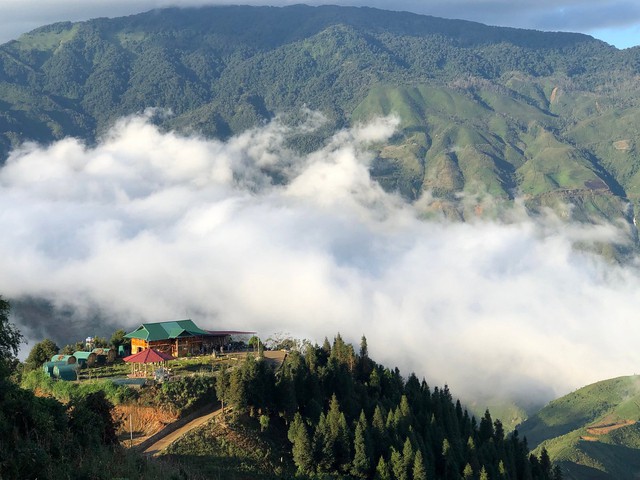  - Ảnh 3.