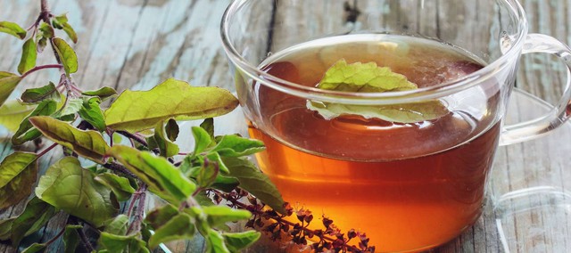 Loại c&acirc;y ai cũng n&ecirc;n trồng trong nh&agrave;: Gi&uacute;p xả xui, lại được coi l&agrave; "nữ ho&agrave;ng của c&aacute;c loại thảo dược" - Ảnh 2.