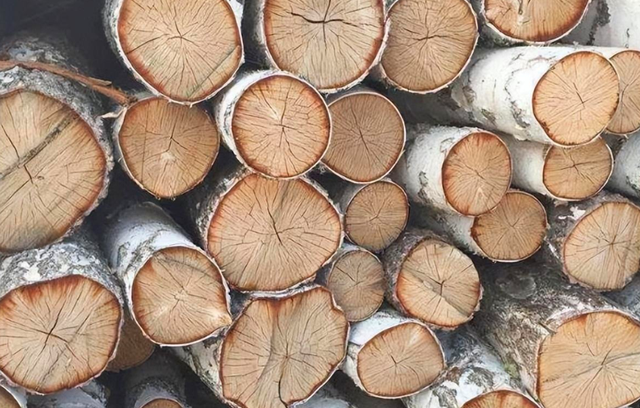 Kỹ sư Nga phát minh động cơ - Ảnh 3.