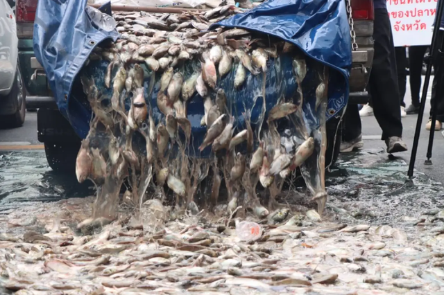 Đi bắt cá về ăn tối, người đàn ông kéo lên gần 200 kg thứ phủ kín thuyền: Chuyên gia chỉ ra điều đáng lo - Ảnh 3.