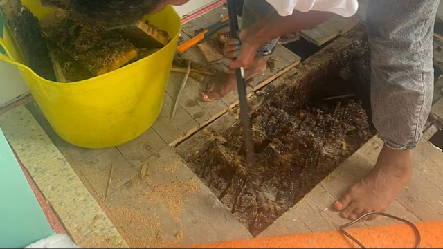 Tường nhà liên tục chảy ra chất lỏng lạ, cặp vợ chồng tháo trần rồi choáng trước cảnh bên trong - Ảnh 2.