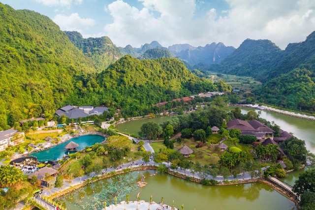 Phát hiện cây đa hơn 1.000 năm tuổi