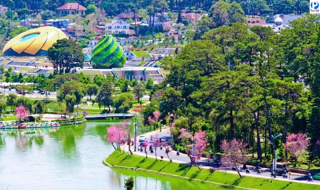 Đà Lạt bất ngờ xuất hiện điều hiếm thấy suốt hơn 15 năm vào đúng dịp 2/9 - Ảnh 2.