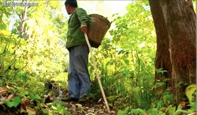 Phong tỏa khu vực, thu giữ 193 hiện vật vàng nặng gần 35kg do một nông dân đào được bên khe núi - Ảnh 1.
