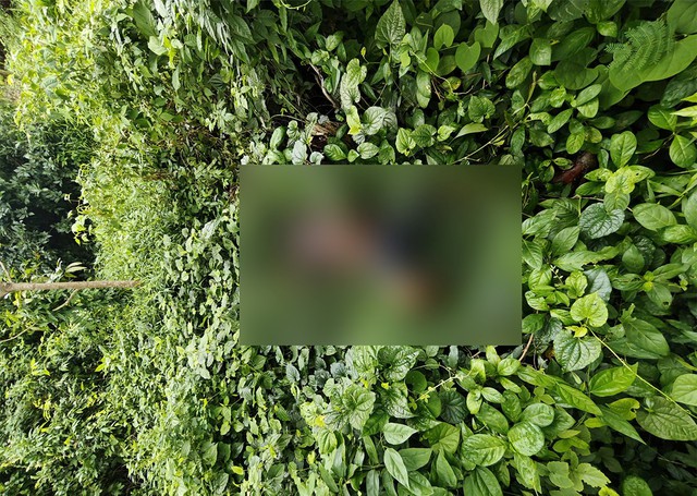 Hé lộ nguyên nhân vụ thi thể dưới đám cỏ: Vì khoản nợ 2 triệu đồng - Ảnh 2.