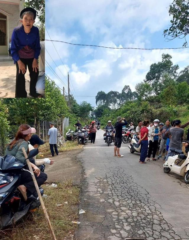 Hàng trăm người tìm kiếm cụ bà 89 tuổi mất tích bí ẩn, camera ghi lại gì? - Ảnh 1.