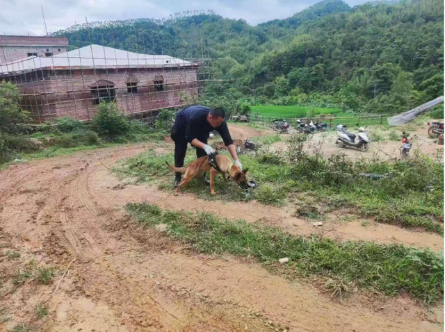 Bé trai 11 tuổi mất tích suốt 13 ngày, hơn 1.000 người tìm kiếm rồi phát hiện dấu vết khó tin - Ảnh 1.