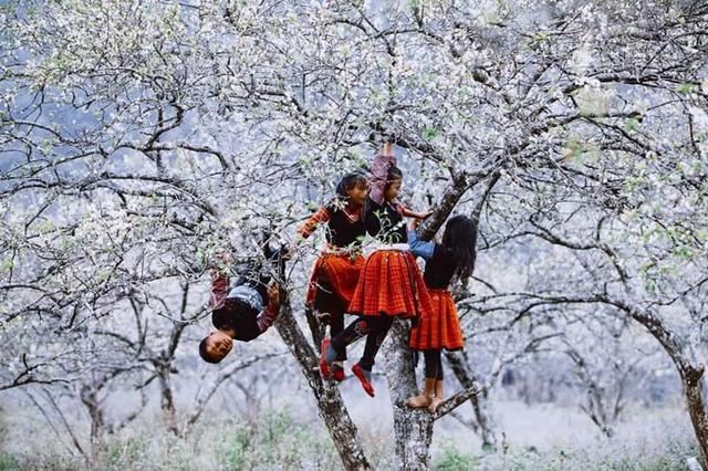 Không phải Sa Pa, 'thiên đường săn mây' Việt Nam lần đầu được thế giới gọi tên: Sánh vai Nhật Bản - Ảnh 4.