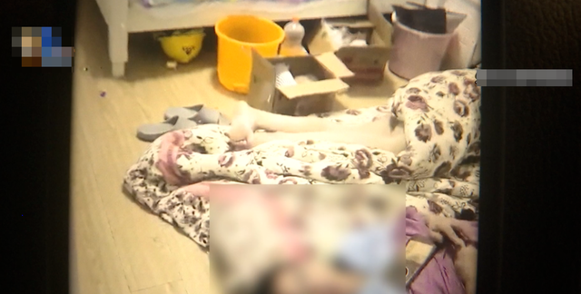 2 năm không bước vào căn hộ cho thuê, chủ nhà chết lặng ngày trở lại: Số lượng bên trong lên tới hơn 20 - Ảnh 2.