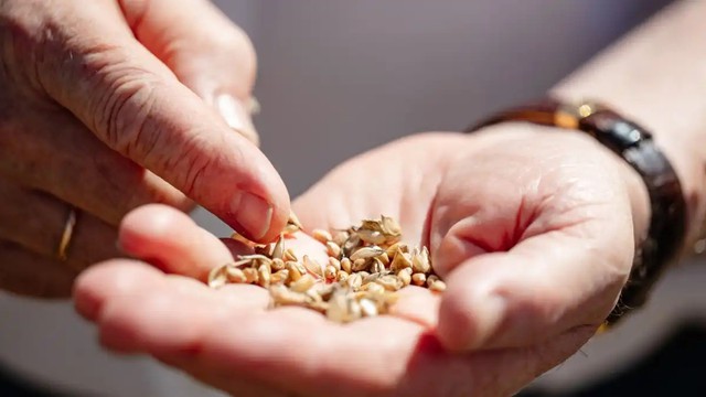 Nga vừa đ&oacute;n một kỷ lục "v&ocirc; tiền kho&aacute;ng hậu"  - Ảnh 2.