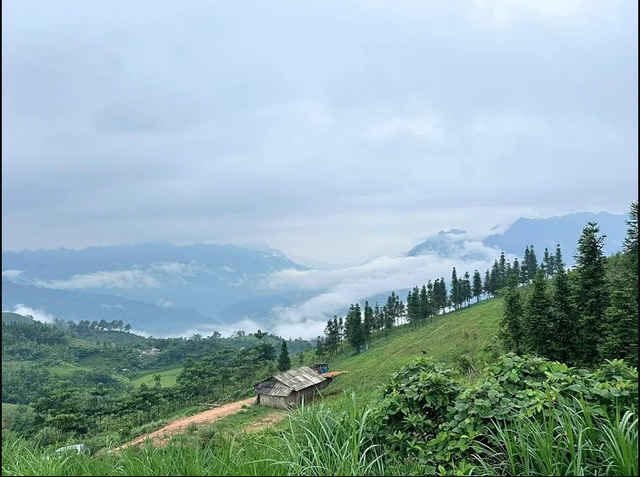 Phát hiện thảo nguyên cách Hà Nội 300 km, cảnh đẹp đến mức nhiều người ngỡ đang du lịch châu Âu - Ảnh 2.