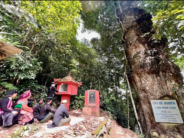Phát hiện thảo nguyên cách Hà Nội 300 km, cảnh đẹp đến mức nhiều người ngỡ đang du lịch châu Âu - Ảnh 6.