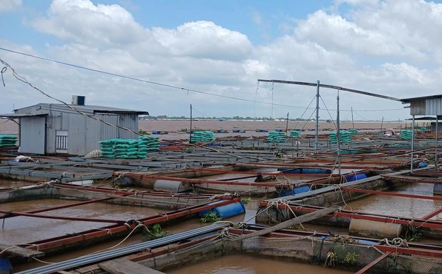 Vụ cha cứu con bị điện giật, cả 2 rơi xuống s&ocirc;ng mất t&iacute;ch: T&igrave;m thấy thi thể 2 cha con - Ảnh 1.