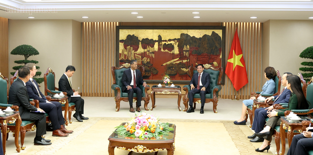 Gặp Phó Thủ tướng, DN Mỹ muốn tham gia chuỗi sản xuất xe điện, xây hệ sinh thái tái chế "kho báu" ở VN - Ảnh 1.